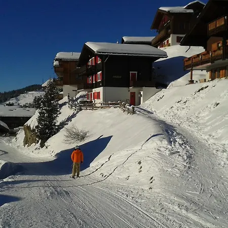 Apartment Chalet Bergrast